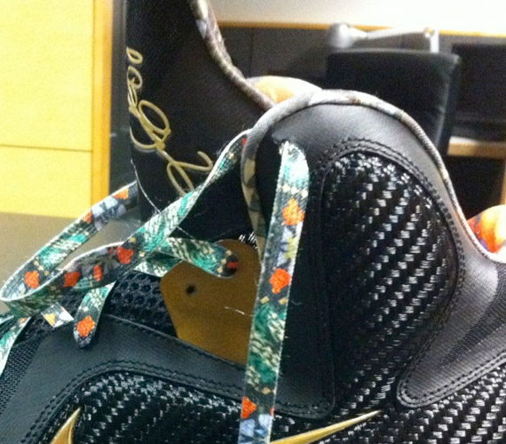 Nike Lebron 9 Watch The Throne 06