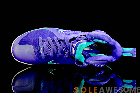 Nike Lebron 9 Hornets Sa 13