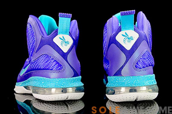 nike lebron 9 hornets sa 16