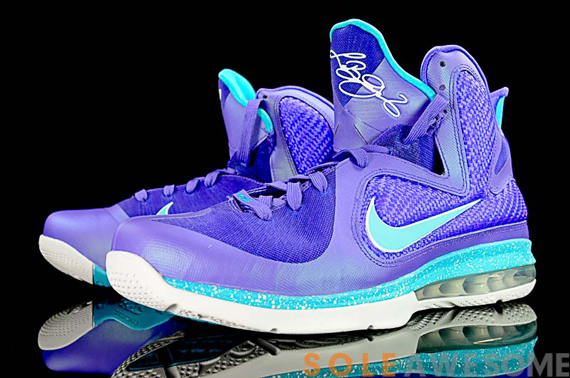 lebron hornets