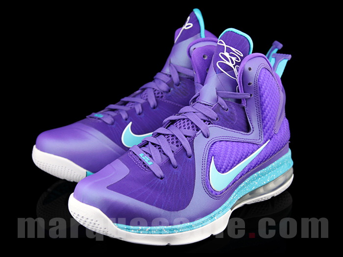 Nike Lebron 9 Summit Lake Hornets 3