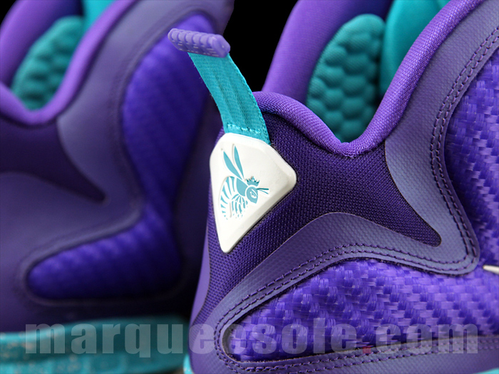 Nike Lebron 9 Summit Lake Hornets 6