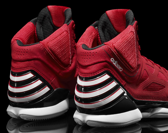 d rose 2.5 shoes