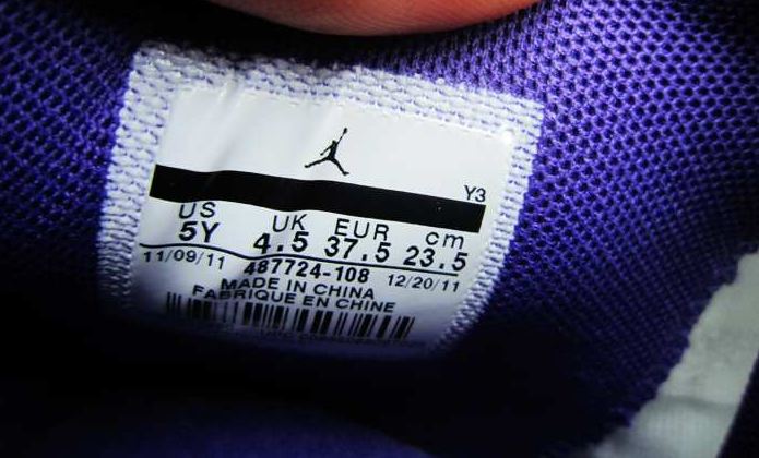 Air Jordan Iv Gs Ultraviolet 10