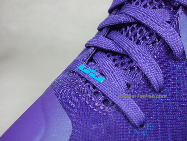 Nike Lebron 9 Summit Lake Hornets 8