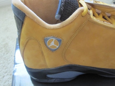 Air Jordan XIV 'Chutney' Sample - SneakerNews.com