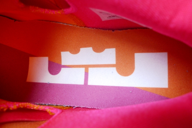 nike-lebron-9-low-floridians-5 Nike Lebron 9 Low Floridians 5