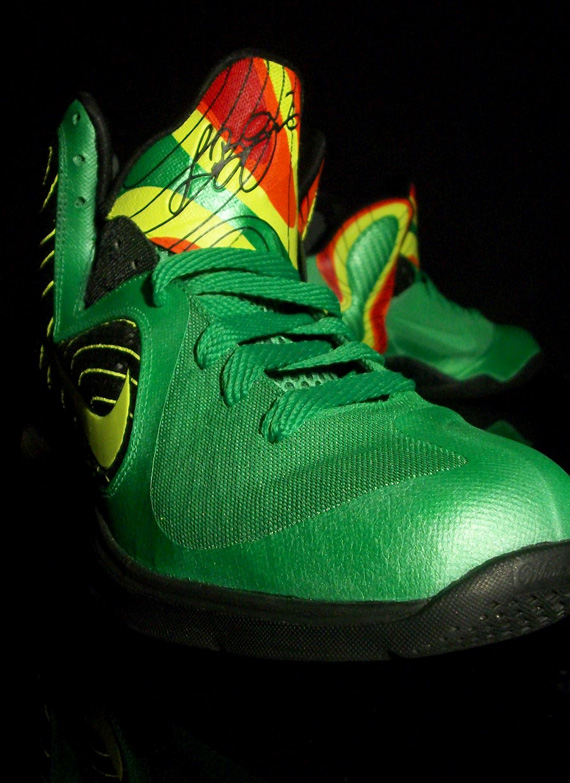 Nike Lebron 9 Weatherman Customs 1