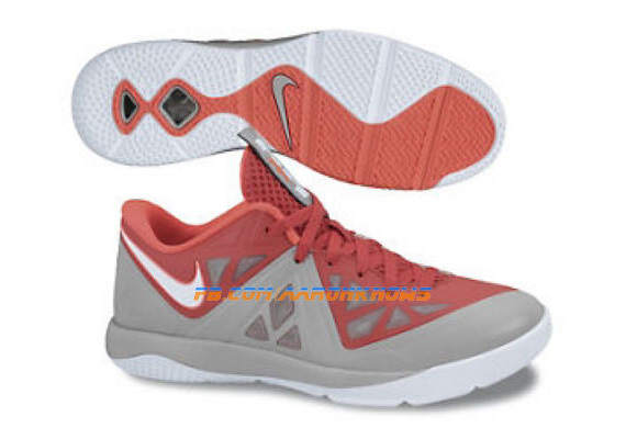 Nike Lebron Low 2013 Sample 1