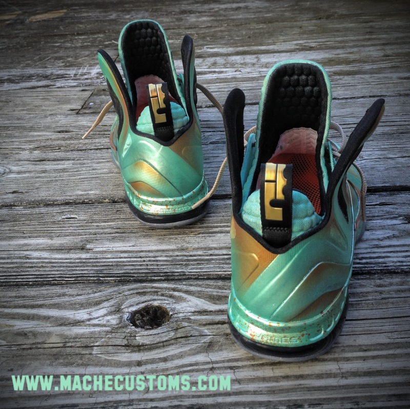 Nike Lebron 9 Elite And Justice For All Customs Mache 03