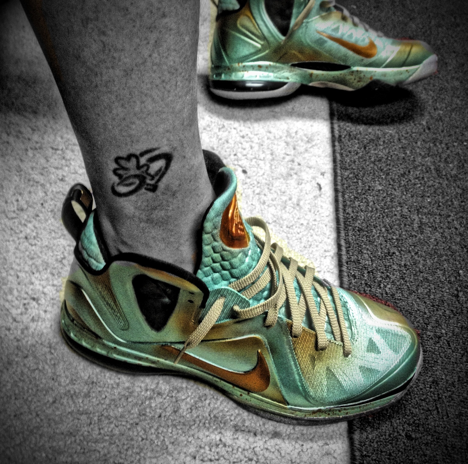 Nike Lebron 9 Elite And Justice For All Customs Mache 04