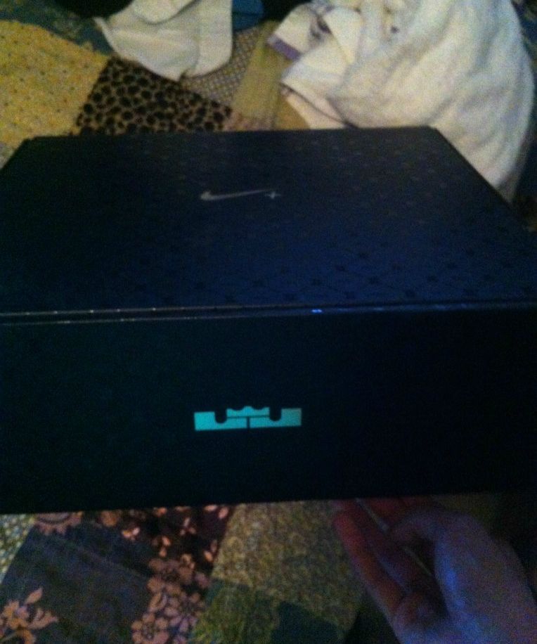 Nike Lebron X Usa Plus Ebay 02