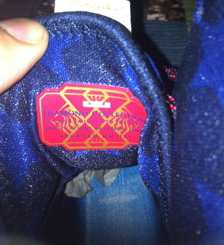 Nike Lebron X Usa Plus Ebay 03