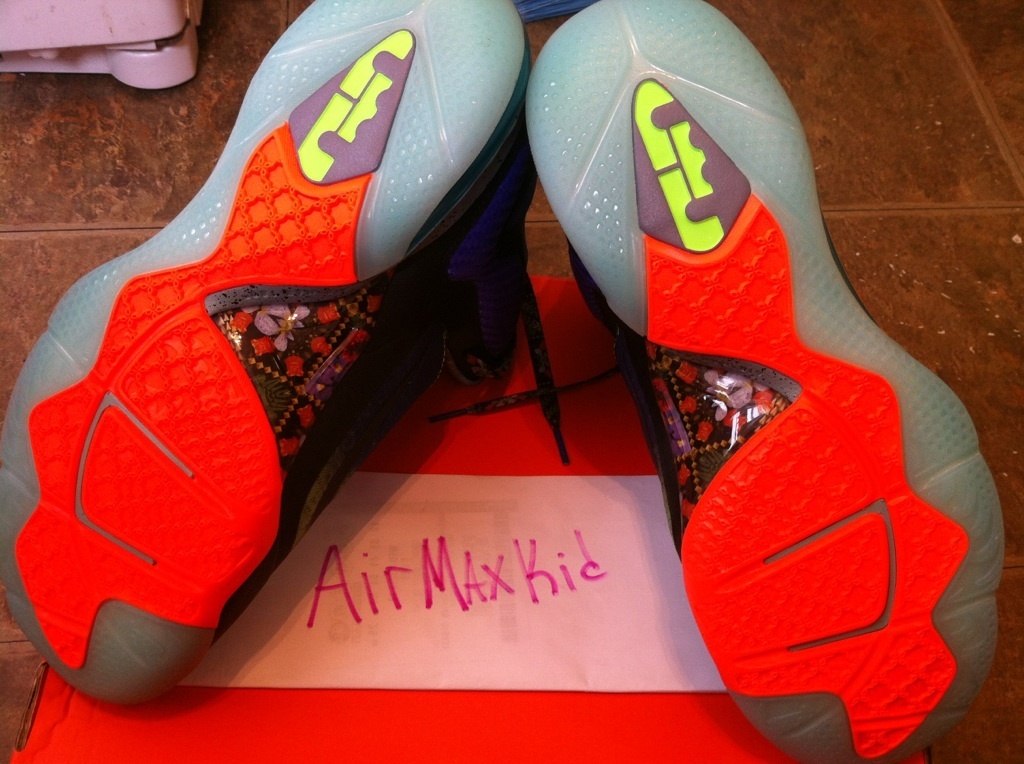 nike-lebron-9-what-the-lebron-ebay-01 Nike Lebron 9 What The Lebron Ebay 01