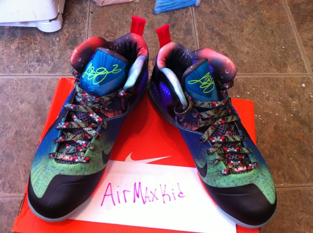 nike-lebron-9-what-the-lebron-ebay-02 Nike Lebron 9 What The Lebron Ebay 02