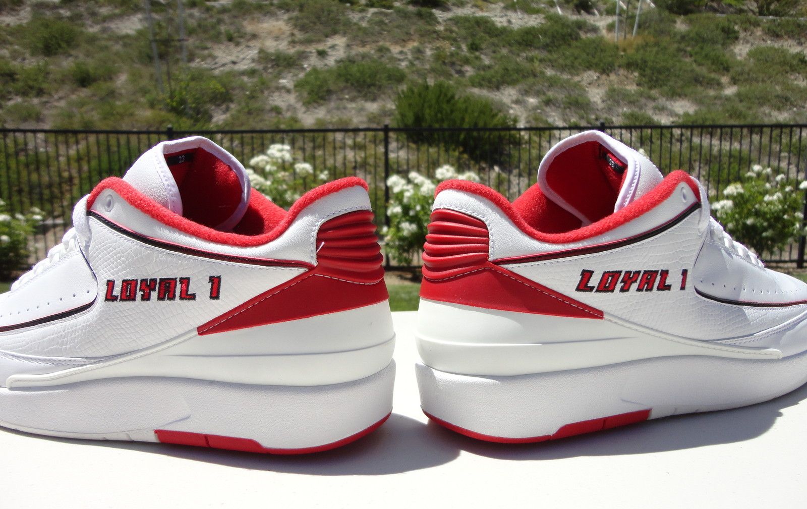 air-jordan-ii-derek-anderson-low-home-05 Air Jordan Ii Derek Anderson Low Home 05