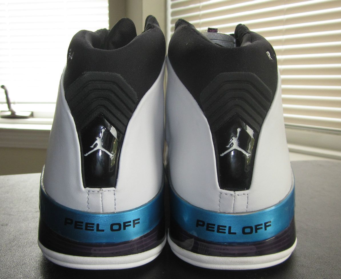 Air Jordan Xvii Ray Allen Bucks Home Pe 05