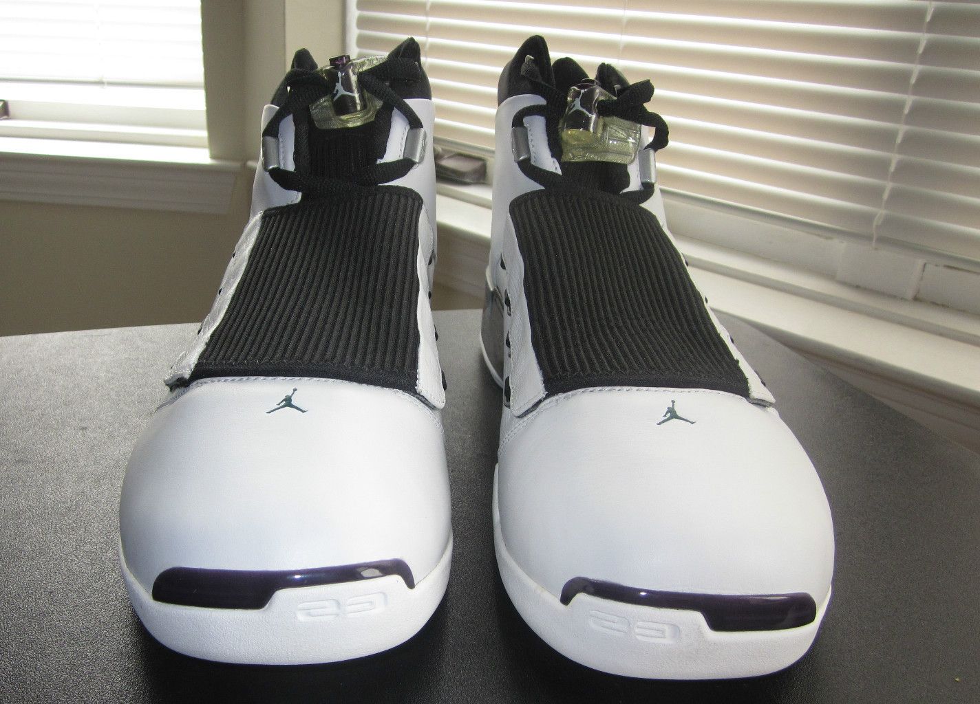 Air Jordan Xvii Ray Allen Bucks Home Pe 06