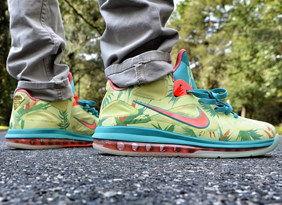 nike lebron 9 low lebronold palmer price