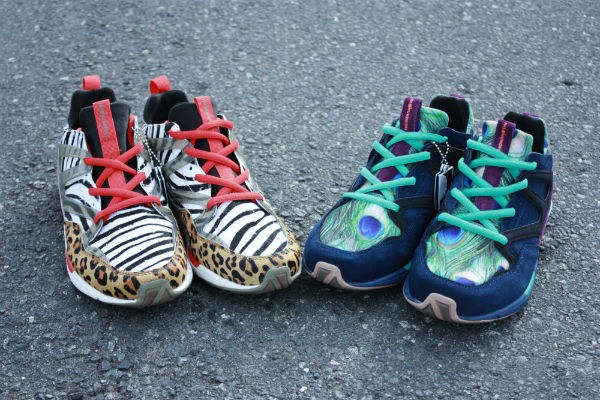 the-hundreds-hoya-major-vs-wish-available-2 The Hundreds Hoya Major Vs Wish Available 2