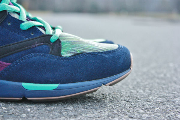 the-hundreds-hoya-major-vs-wish-available-6 The Hundreds Hoya Major Vs Wish Available 6