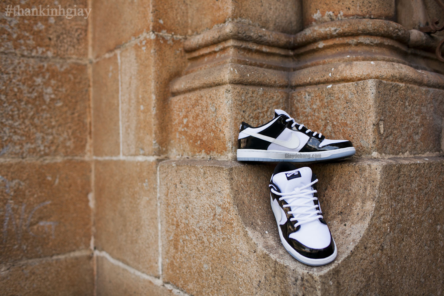 Concord Nike Sb Dunk Low Summer 2013 002