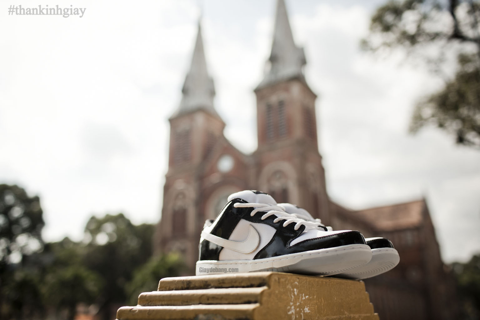 Concord Nike Sb Dunk Low Summer 2013 004