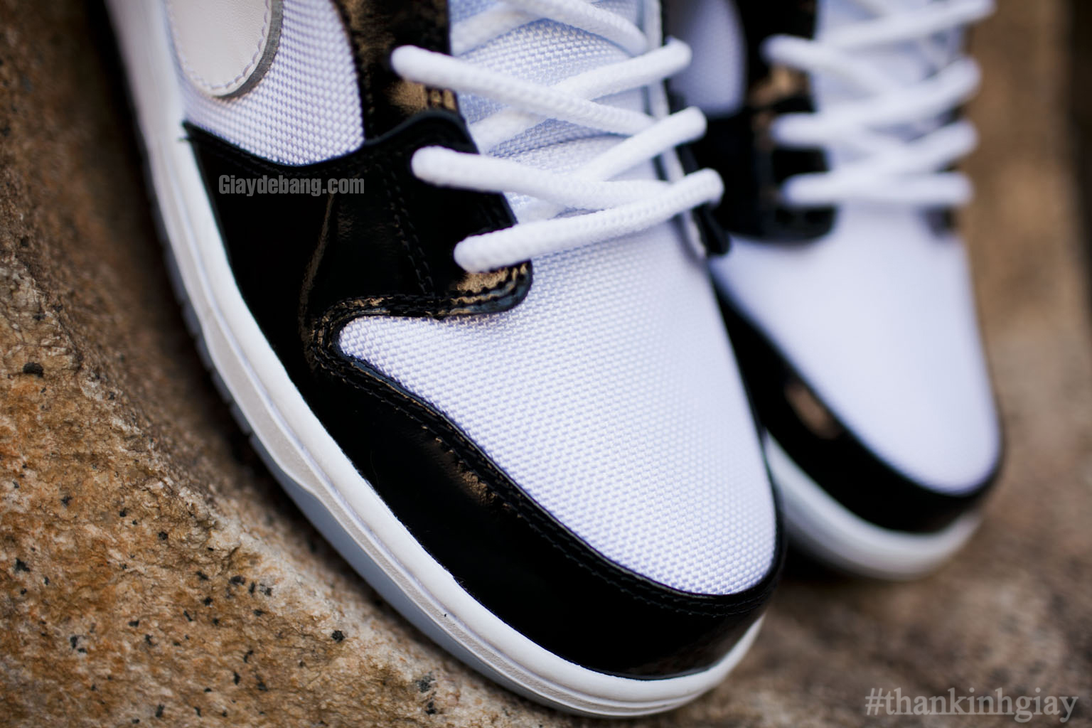 Concord Nike Sb Dunk Low Summer 2013 008