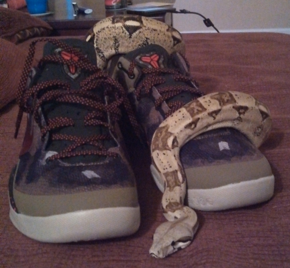 kobe python shoes