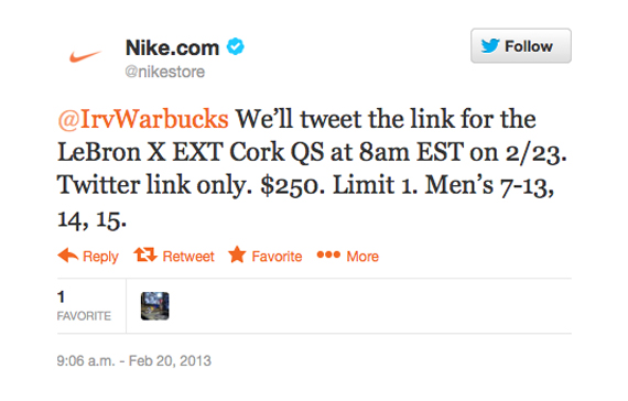 Nike Lebron X Cork Pirce Change 02