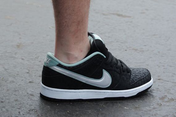 nike sb spot