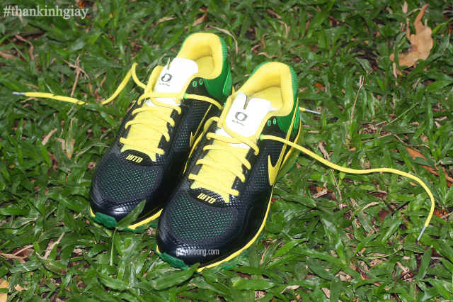 Nike Air Trainer 1.3 Max Breathe Oregon 06