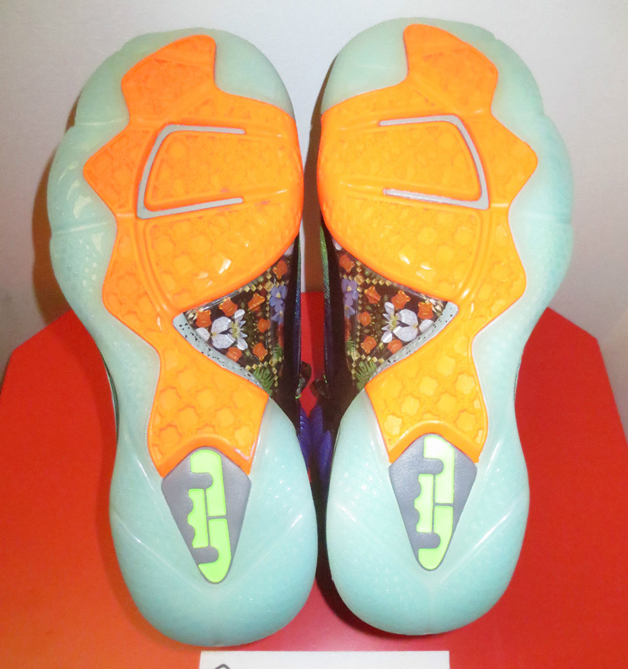 What The Lebron converse nike Lebron 9 Unreleased 6