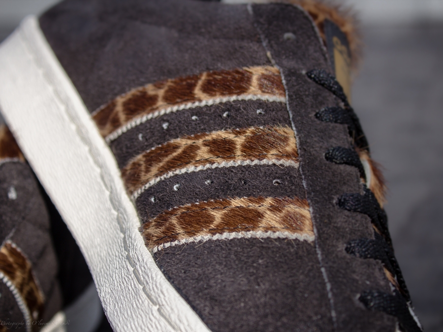 Adidas Originals Campus 80s Xlarge Giraffe Pre Order 02