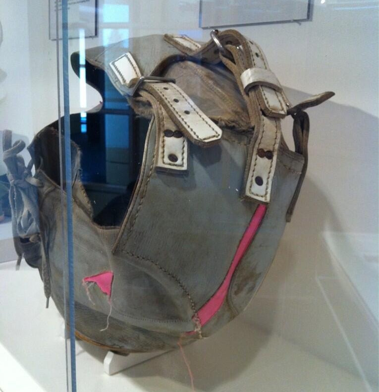 Biggest Nike Shoe Ever