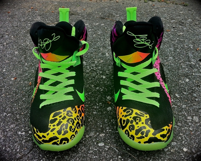 Nike Lebron 9 Leopracheebra 04