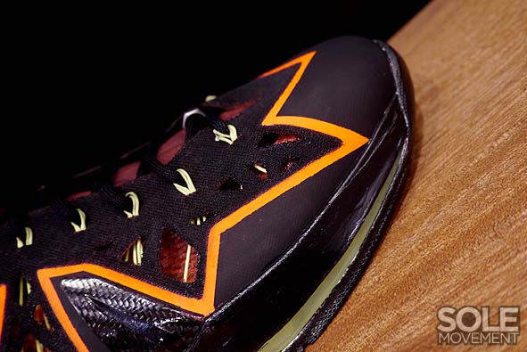 Nike Lebron X Project Lion Customs 09