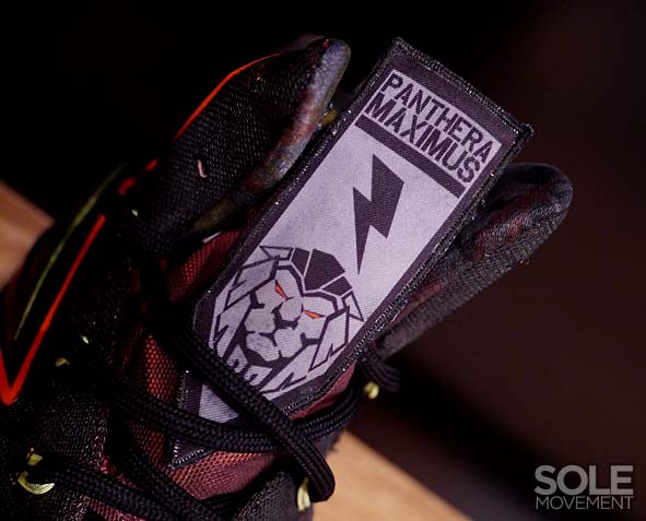 Nike Lebron X Project Lion Customs 10