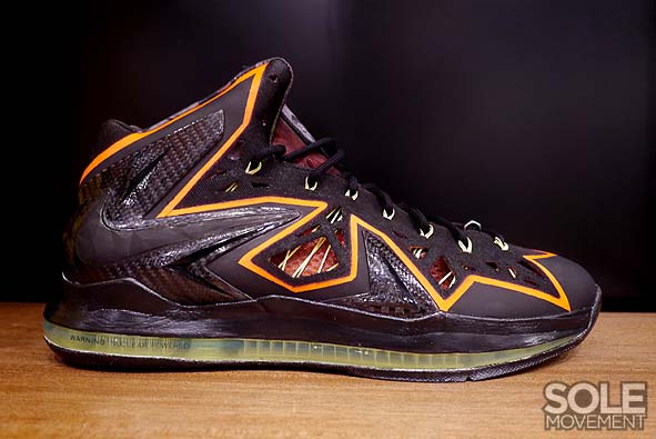 Nike Lebron X Project Lion Customs 11