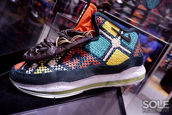 Nike Lebron X Project Lion Customs 14