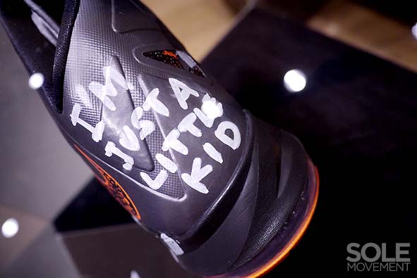 Nike Lebron X Project Lion Customs 16