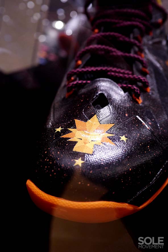 Nike Lebron X Project Lion Customs 18