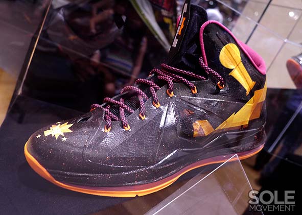 Nike Lebron X Project Lion Customs 21