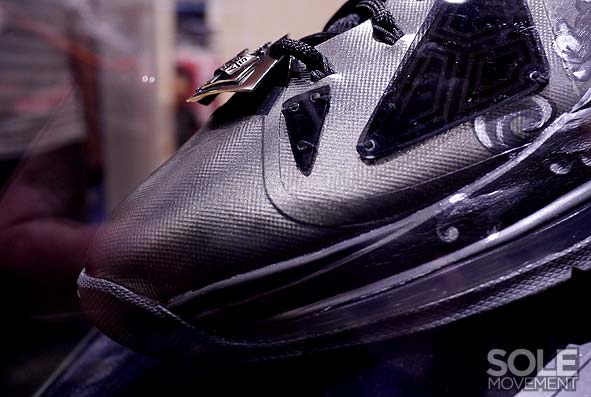 Nike Lebron X Project Lion Customs 22