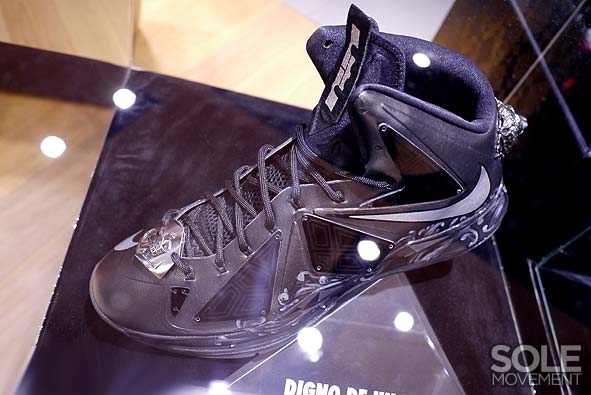 Nike Lebron X Project Lion Customs 25