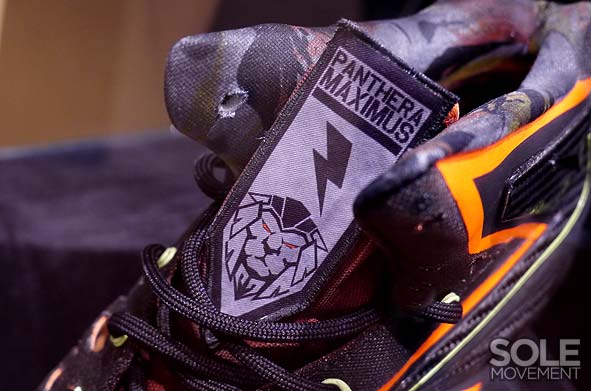 Nike Lebron X Project Lion Customs 26