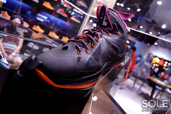 Nike Lebron X Project Lion Customs 33