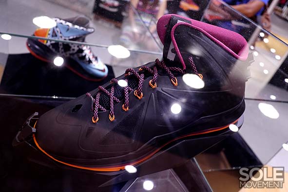 Nike Lebron X Project Lion Customs 34