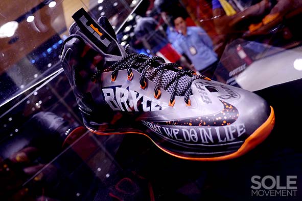 Nike Lebron X Project Lion Customs 35