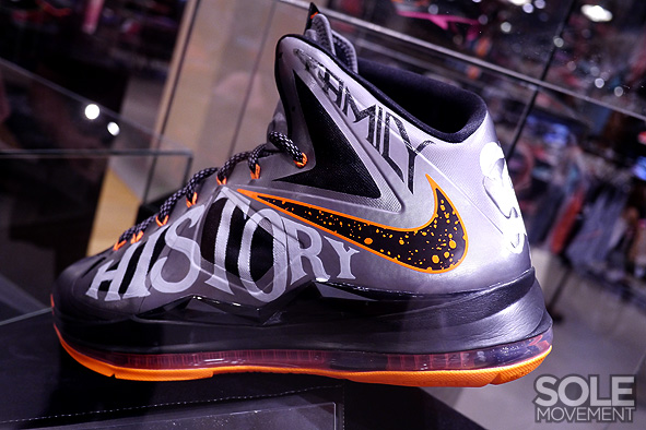 Nike Lebron X Project Lion Customs 36